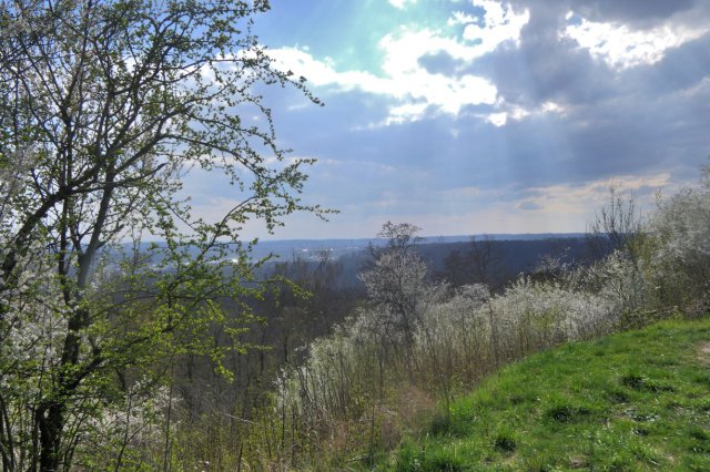 p1060565hdr lookk.jpg